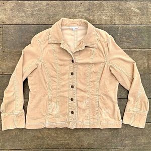 DRESS BARN • Long Sleeve Button Up Farm Blouse